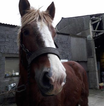 429102238_721839223396563_3109928983214183527_n