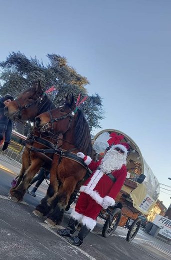 FB_IMG_1671305995217__