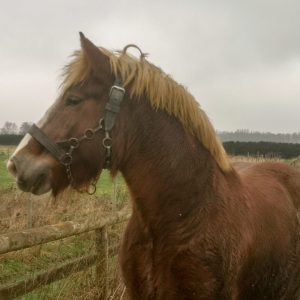 IMG_20240107_113243_edited