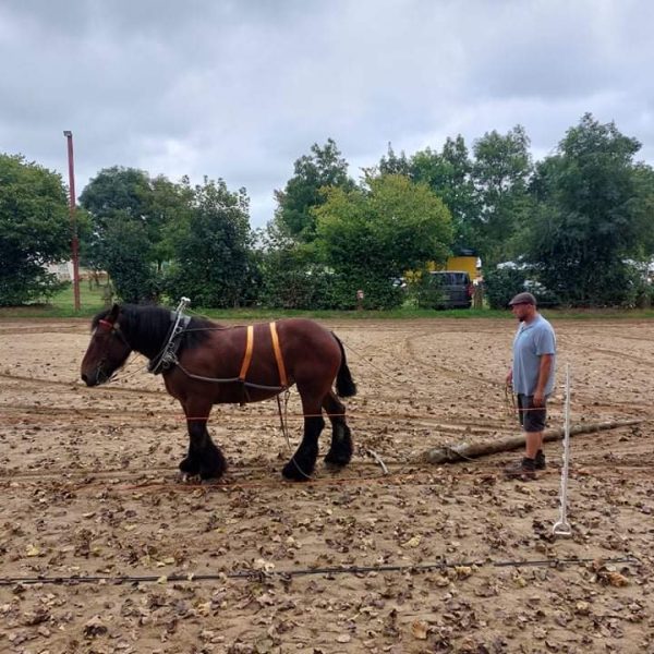 received_1178357816022176